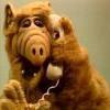 the notorious Alf