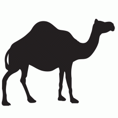 CamelCase