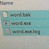 word.exe