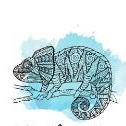 ITChamaeleon