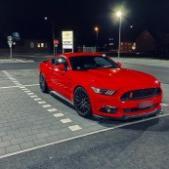 mustang5