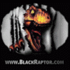 BlackRaptor