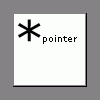 *pointer