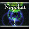 Nepokat